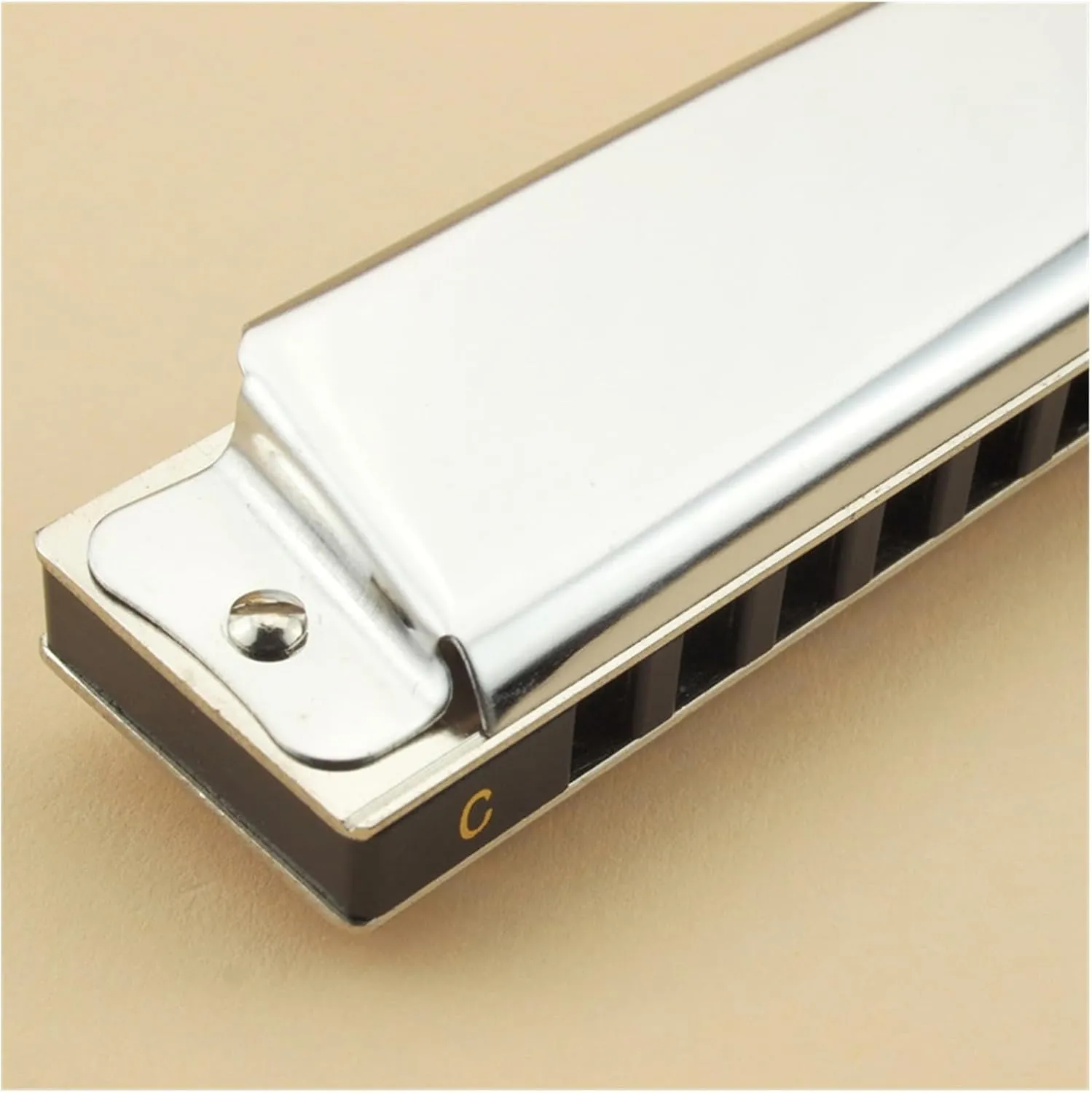 10 hole blues harmonica beginner instrument(Gold)