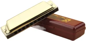 10 hole blues harmonica beginner instrument(Gold)