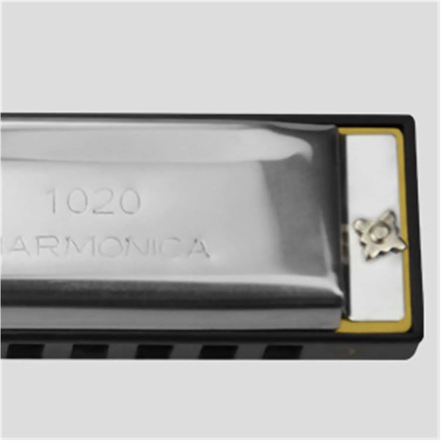 10 Hole Blues Harmonica C Key Beginner Harmonica(Gold)