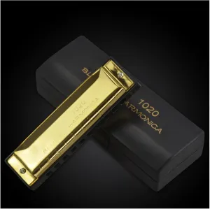 10 Hole Blues Harmonica C Key Beginner Harmonica(Gold)