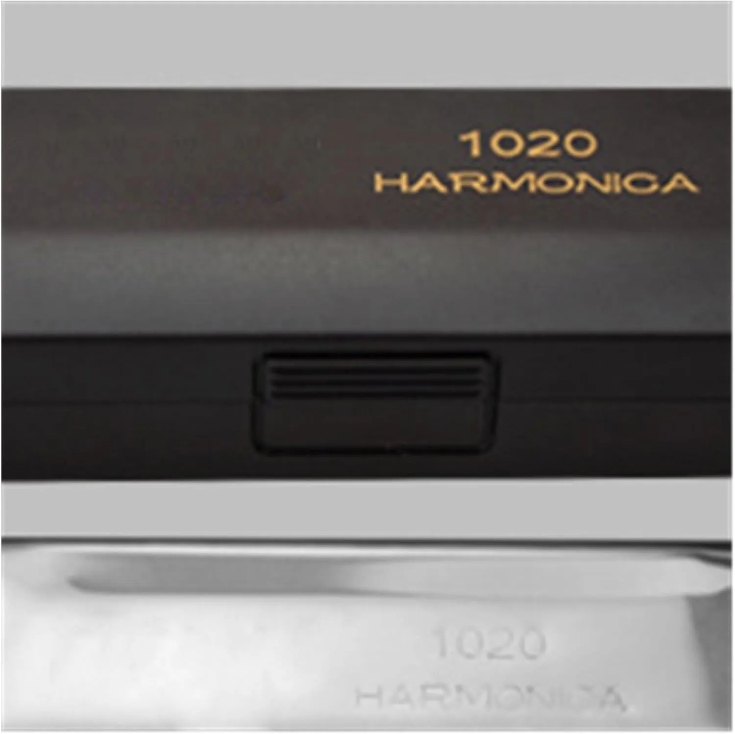 10 Hole Blues Harmonica C Key Beginner Harmonica(Gold)