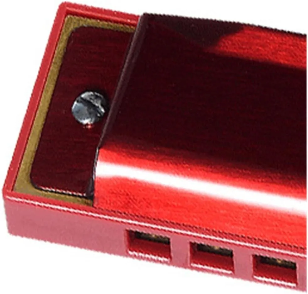 10 hole blues harmonica C key professional instrument(Gold)
