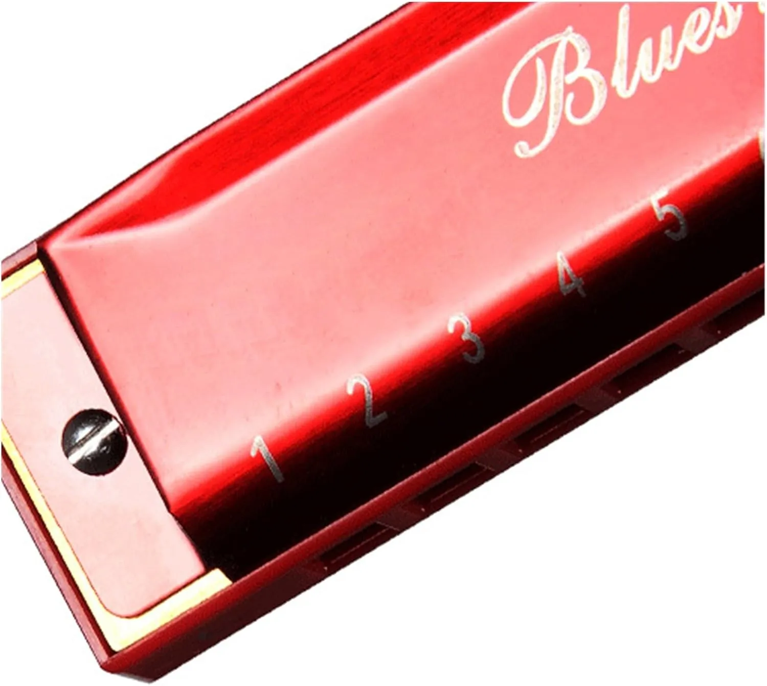 10 hole blues harmonica C key professional instrument(Gold)