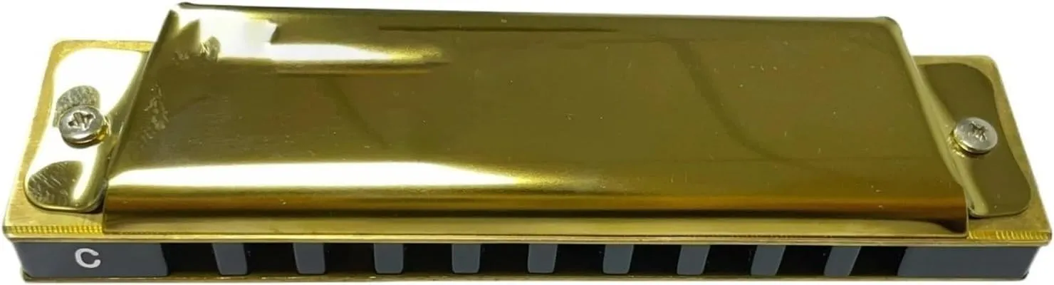 10 Hole C Tone Blues Harmonica For Beginner Professional Player(GOLD)