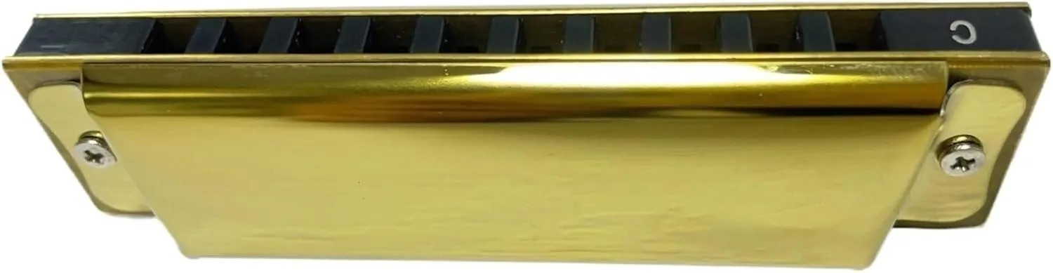 10 Hole C Tone Blues Harmonica For Beginner Professional Player(GOLD)