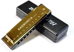 10 Holes Harmonica Wooden Double Row Blowable Harmonica Musical(Gold)