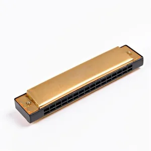16 Holes Tremolo Harmonica Mouth Organ(Gold)