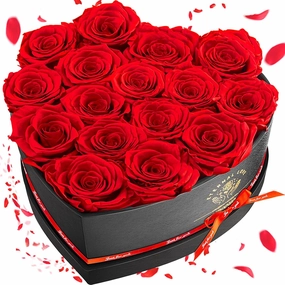 16-Piece Preserved Rose Birthday Gifts for Women, Eternal Rose Preserved Flowers for Delivery Prime Mothers' Day, Valentine's Day, Christmas, Birthday - Red Roses