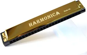 24 Hole C Harmonica For Beginners To Practice Playing(Gold)