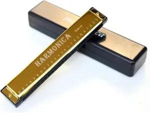 24 Hole Harmonica Metal Organ Beginners(Gold)