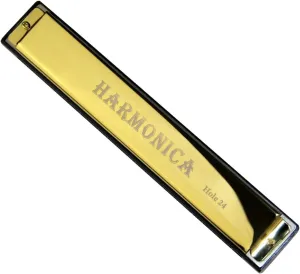24 Hole Professional Harmonica C Tune Metal Suitable For Beginners(Gold)