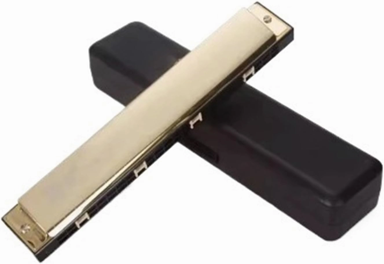 24 Hole Polyphonic C Harmonica Adult Wind Instrument(Gold)