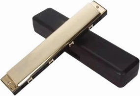 24 Hole Polyphonic C Harmonica Adult Wind Instrument(Gold)