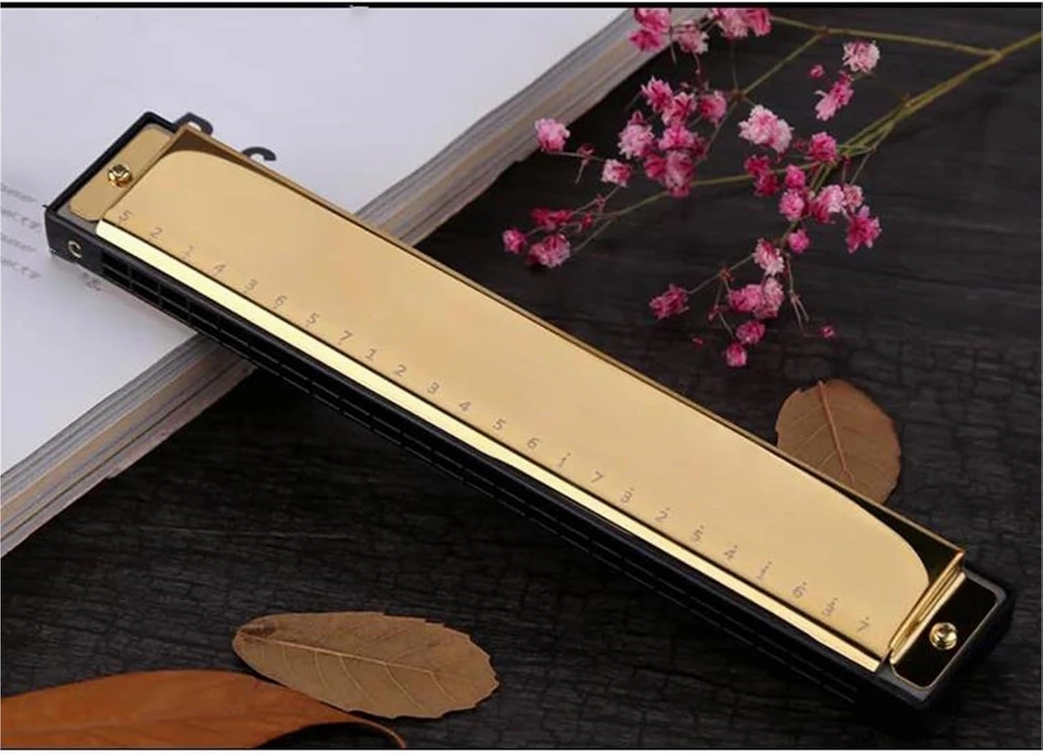 24 Hole Polyphonic C Harmonica Portable With Deep Vibrato Effect(Gold)