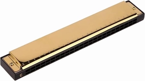 24 Hole Polyphonic C Harmonica Portable With Deep Vibrato Effect(Gold)