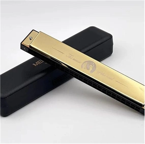 24 hole polyphonic harmonica in the key of C adult self taught beginner harmonica(Gold)