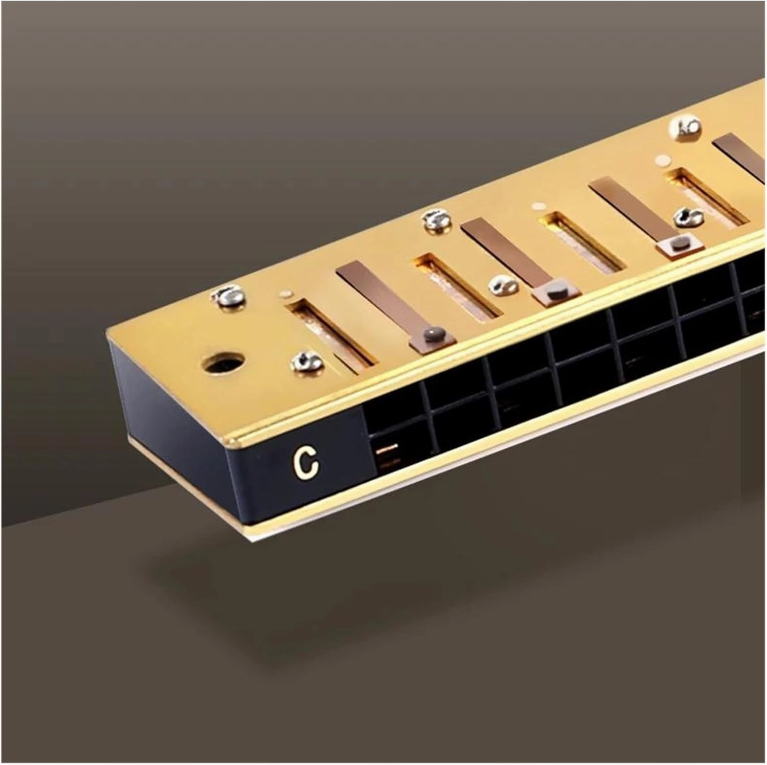 24 Hole Tremolo Harmonica C Tone Musical Instruments Professional Mouth Harmonica(Gold-C)