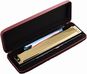 28hole harmonica polyphonic C key beginner professional instrument(Gold)
