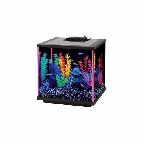Aqueon Neoglow Aquarium Kit Cube