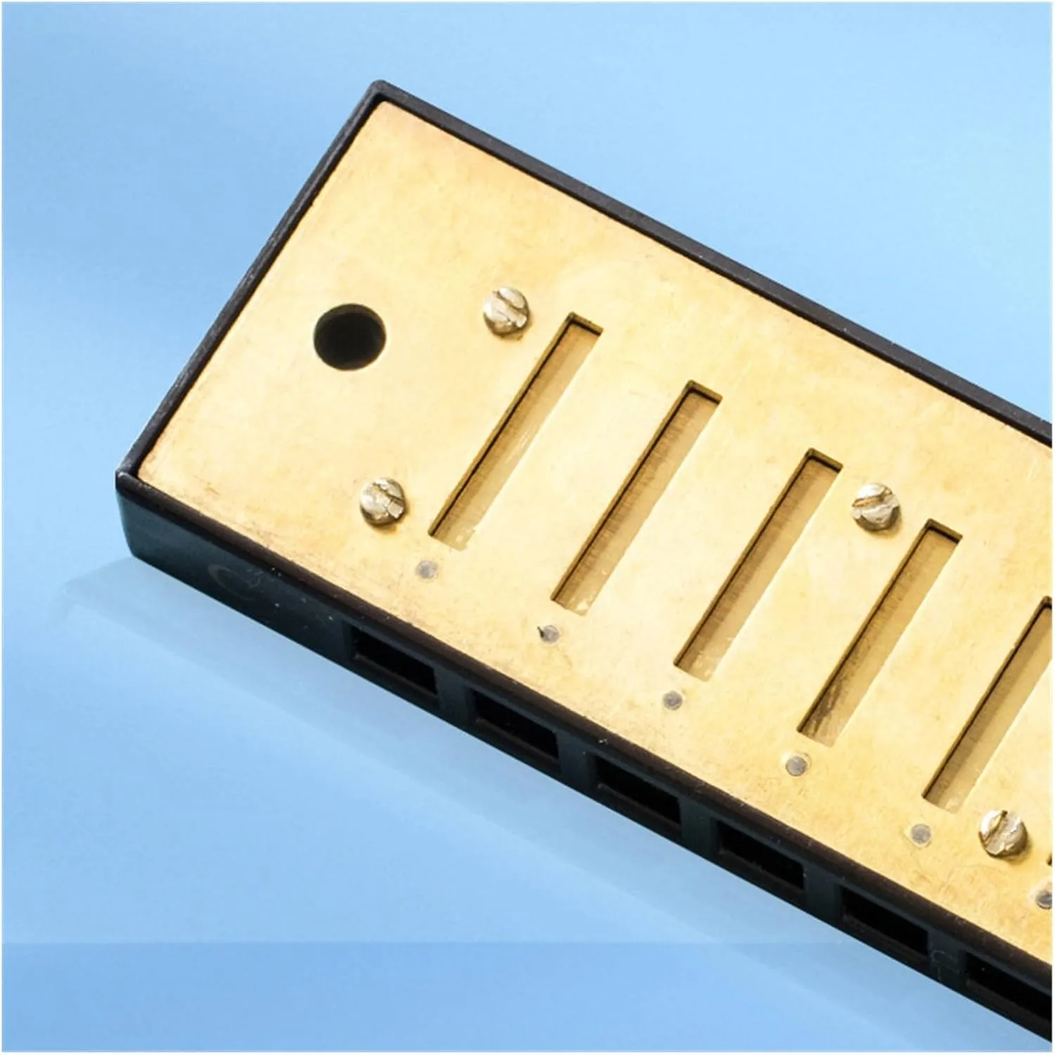 Blues harmonica 10 holes C key for beginners(Gold)