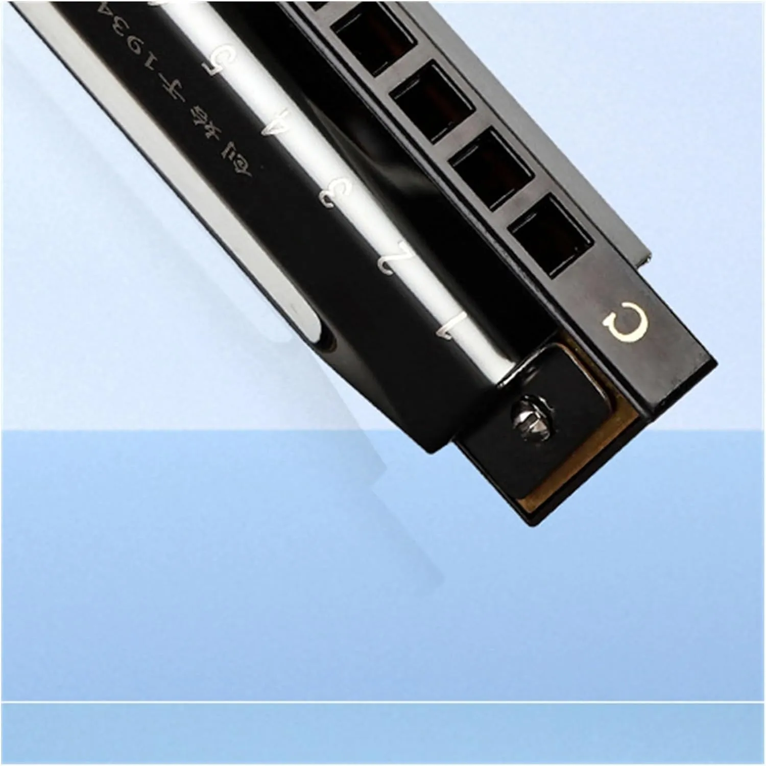 Blues harmonica 10 holes C key for beginners(Gold)