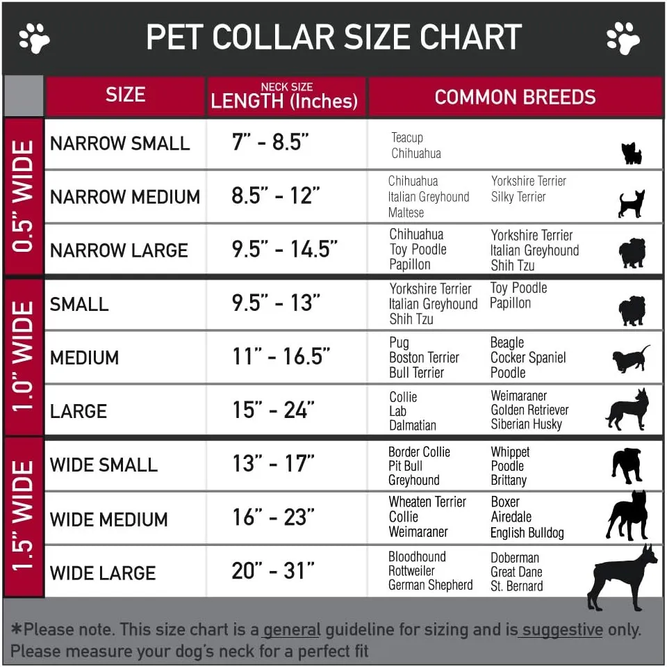Buckle-Down Dog Collar Plastic Clip Lilo Stitch 4 Poses Lilo Dress Leaves Red Ivory 11 to 17 Inches 1.0 Inch Wide