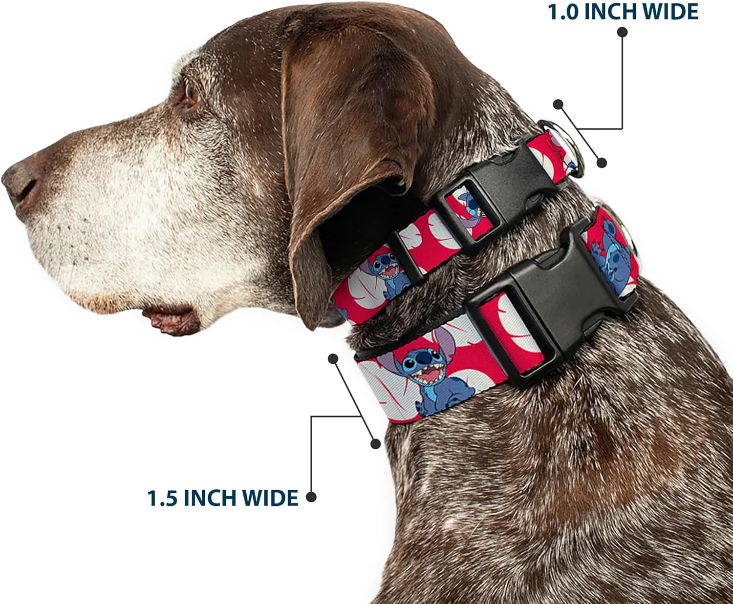 Buckle-Down Dog Collar Plastic Clip Lilo Stitch 4 Poses Lilo Dress Leaves Red Ivory 11 to 17 Inches 1.0 Inch Wide