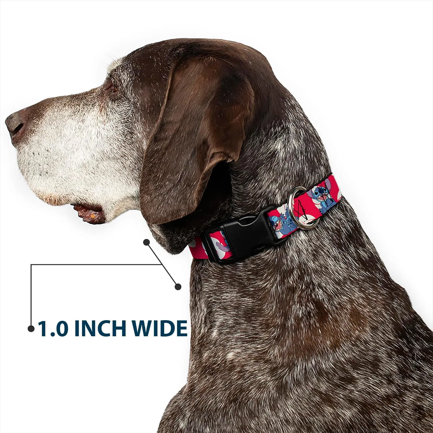 Buckle-Down Dog Collar Plastic Clip Lilo Stitch 4 Poses Lilo Dress Leaves Red Ivory 11 to 17 Inches 1.0 Inch Wide