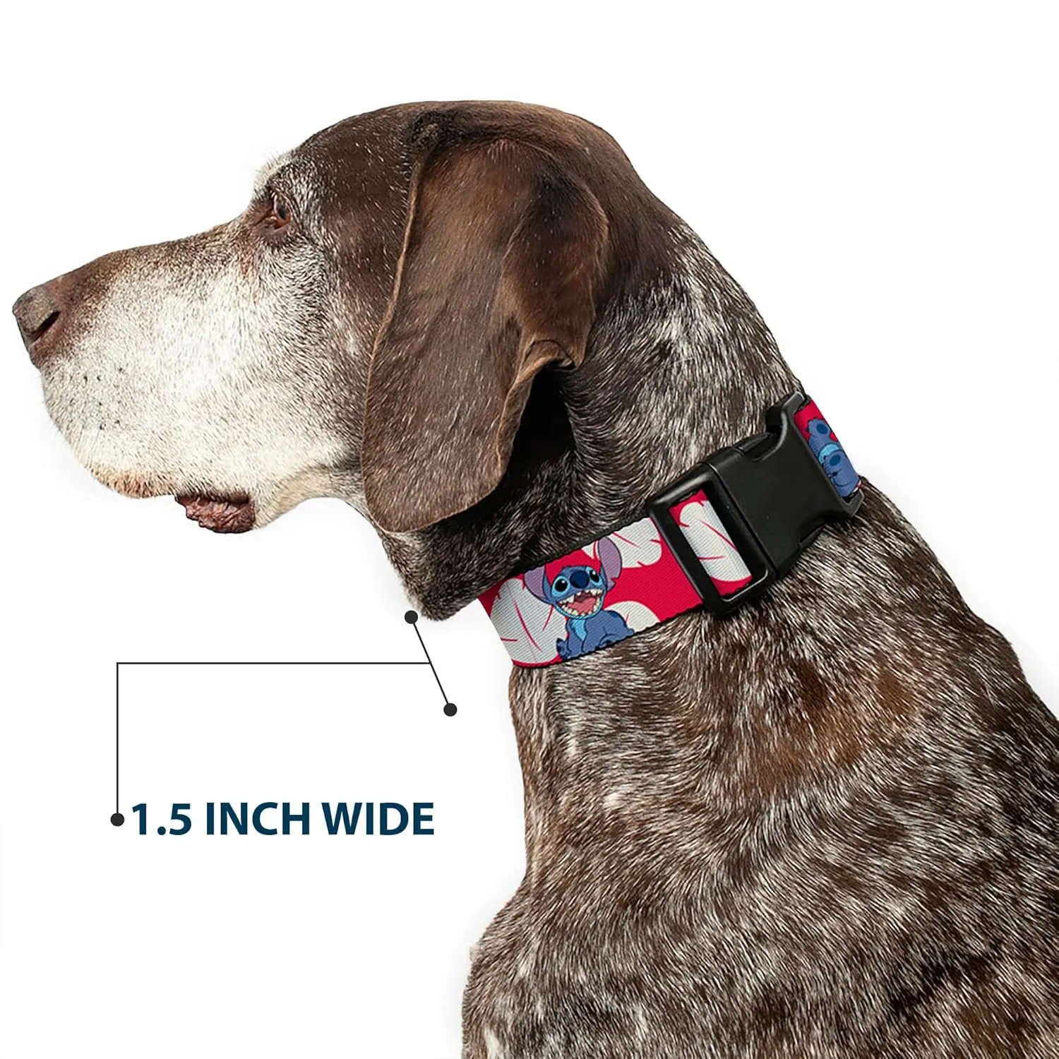 Buckle-Down Dog Collar Plastic Clip Lilo Stitch 4 Poses Lilo Dress Leaves Red Ivory 11 to 17 Inches 1.0 Inch Wide