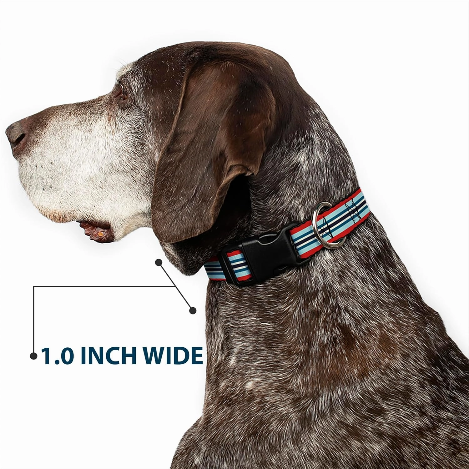 Buckle-Down Plastic Clip Collar - Stripes Red/Blues/White - 1" Wide - Fits 11-17" Neck - Medium