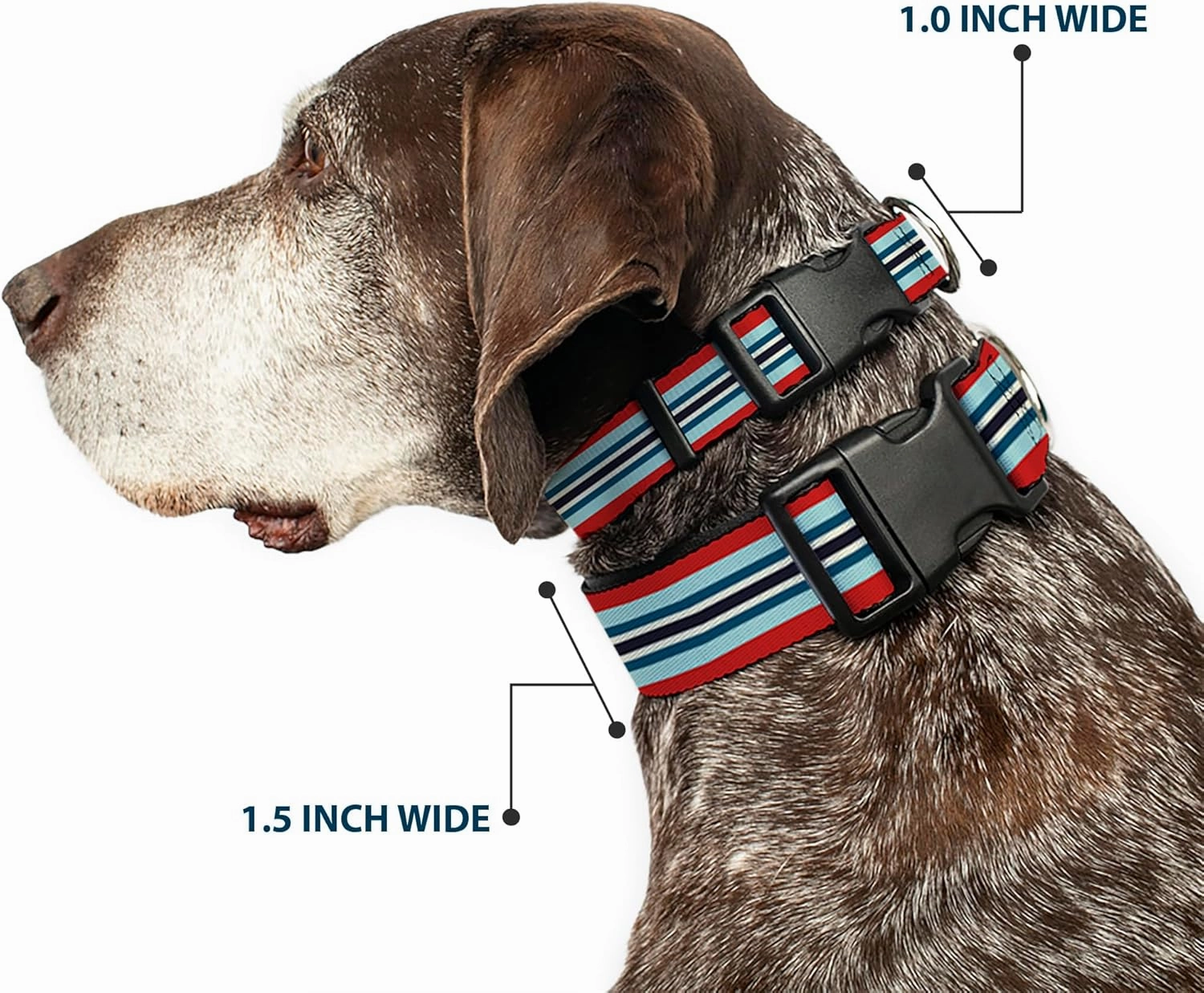 Buckle-Down Plastic Clip Collar - Stripes Red/Blues/White - 1" Wide - Fits 11-17" Neck - Medium