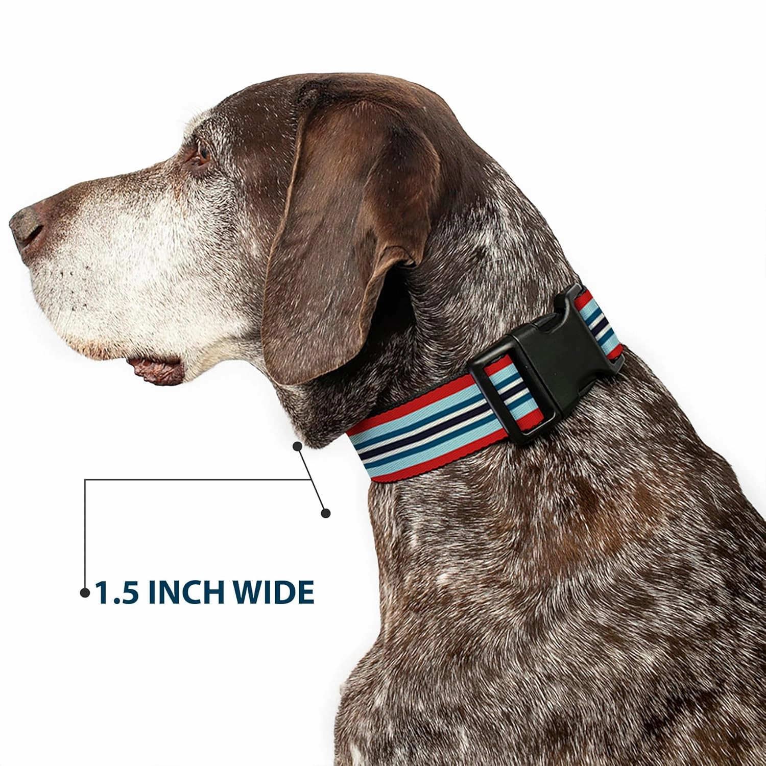 Buckle-Down Plastic Clip Collar - Stripes Red/Blues/White - 1" Wide - Fits 11-17" Neck - Medium