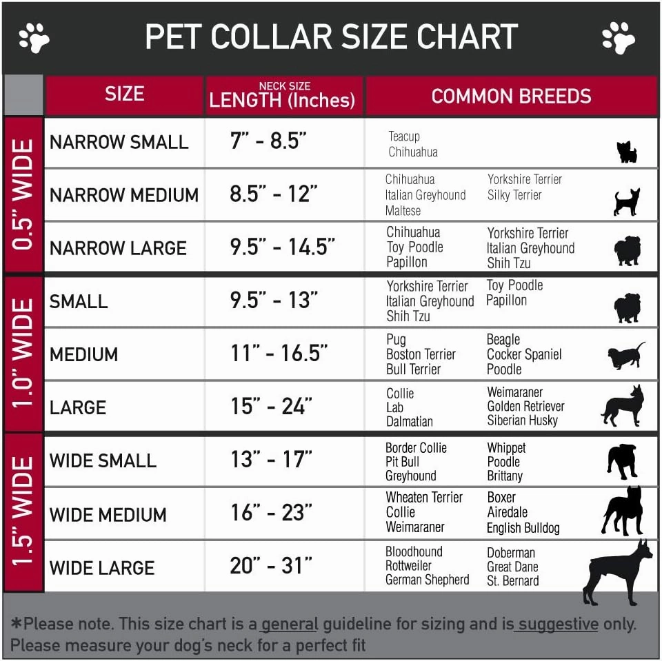 Buckle-Down Plastic Clip Collar - Watermelon Stripe Red/Green/Black - 1" Wide - Fits 11-17" Neck - Medium