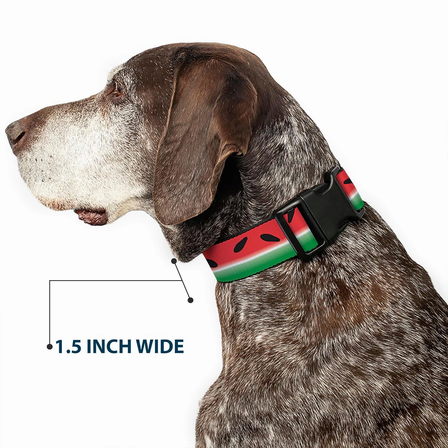 Buckle-Down Plastic Clip Collar - Watermelon Stripe Red/Green/Black - 1" Wide - Fits 11-17" Neck - Medium