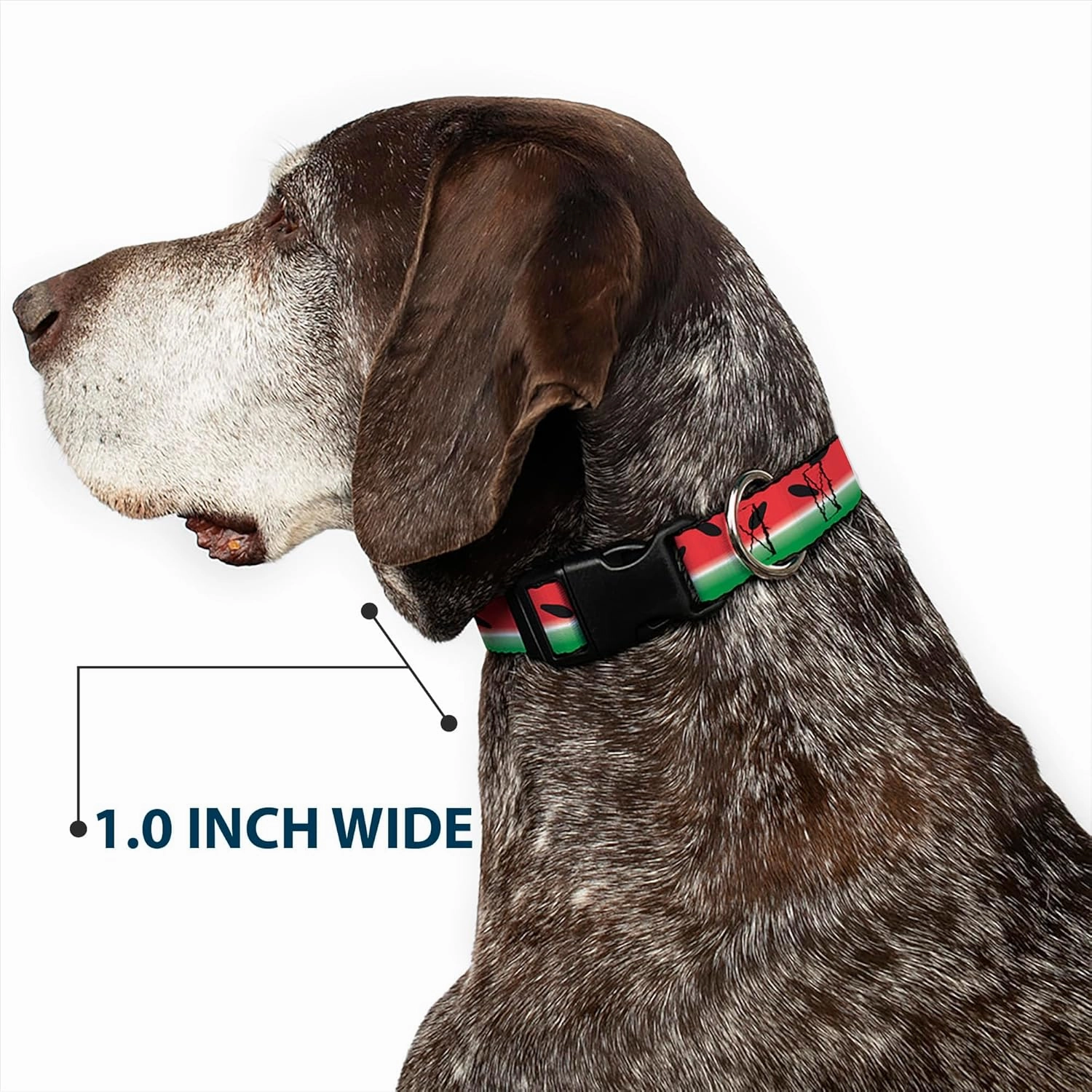 Buckle-Down Plastic Clip Collar - Watermelon Stripe Red/Green/Black - 1" Wide - Fits 11-17" Neck - Medium