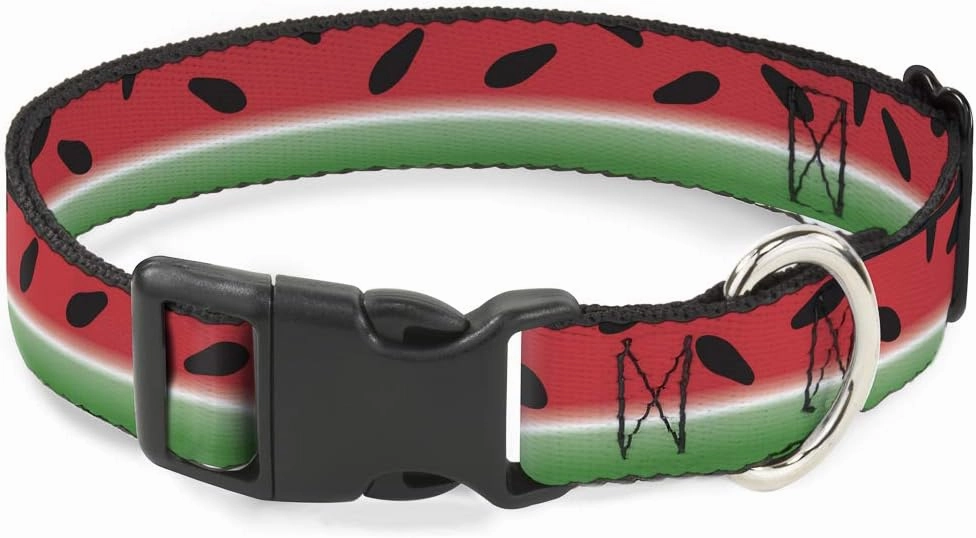 Buckle-Down Plastic Clip Collar - Watermelon Stripe Red/Green/Black - 1" Wide - Fits 11-17" Neck - Medium