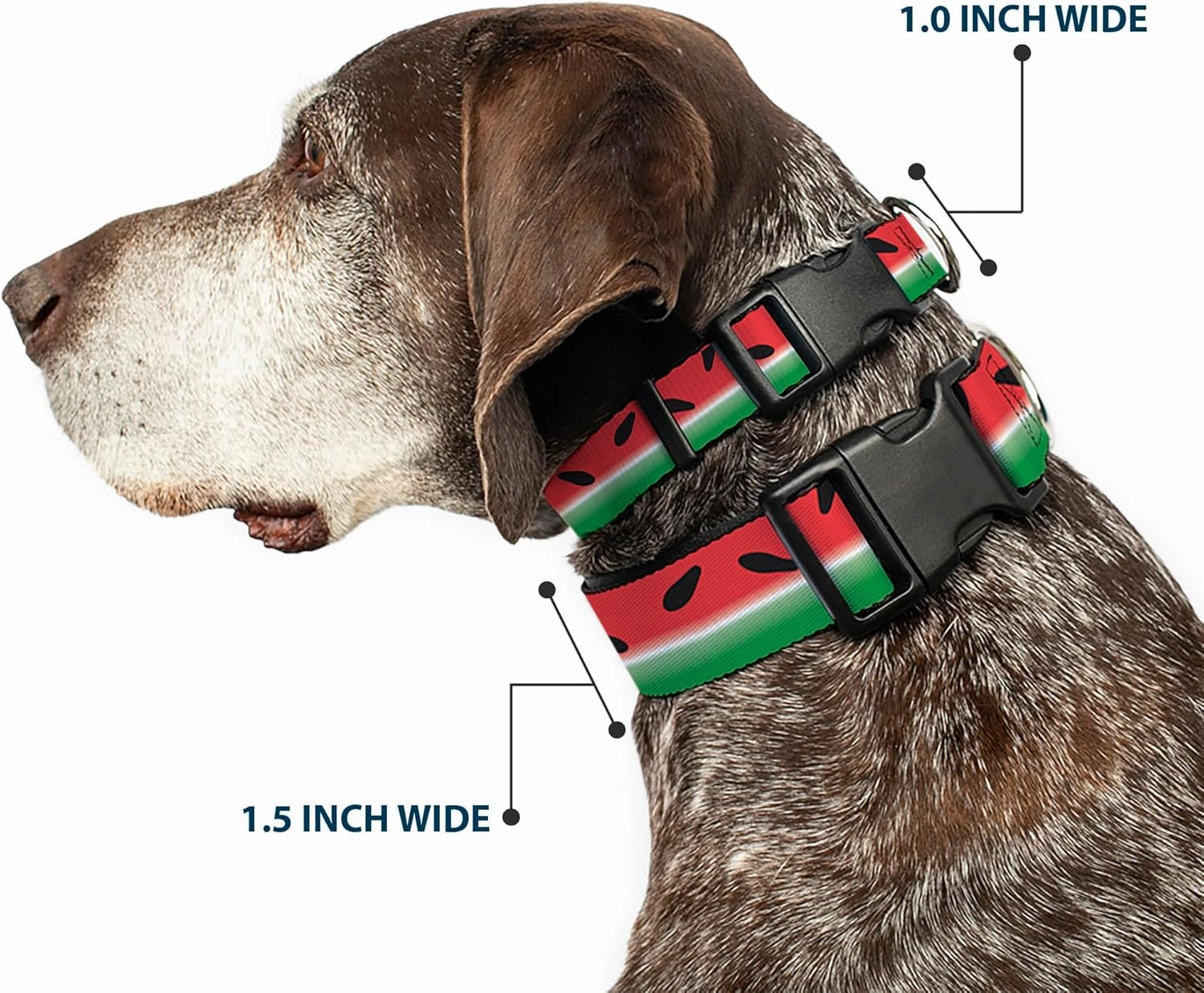 Buckle-Down Plastic Clip Collar - Watermelon Stripe Red/Green/Black - 1" Wide - Fits 11-17" Neck - Medium