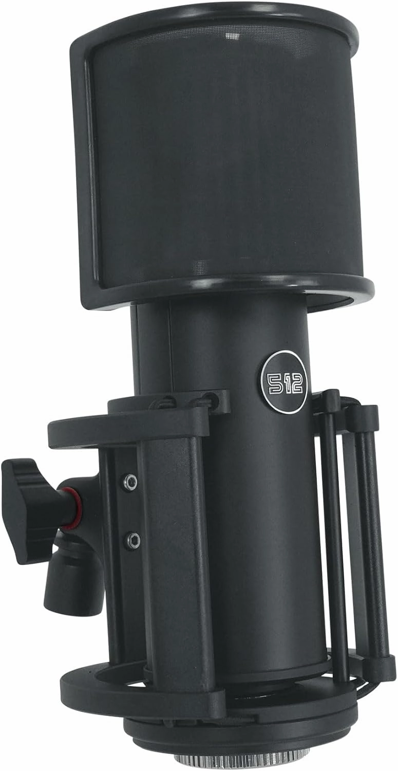 by Warm Audio Skylight Large Diaphragm Studio Condenser XLR Microphone   Shock Mount   Bag for Recording and Podcasting