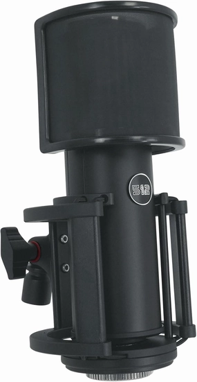 by Warm Audio Skylight Large Diaphragm Studio Condenser XLR Microphone   Shock Mount   Bag for Recording and Podcasting