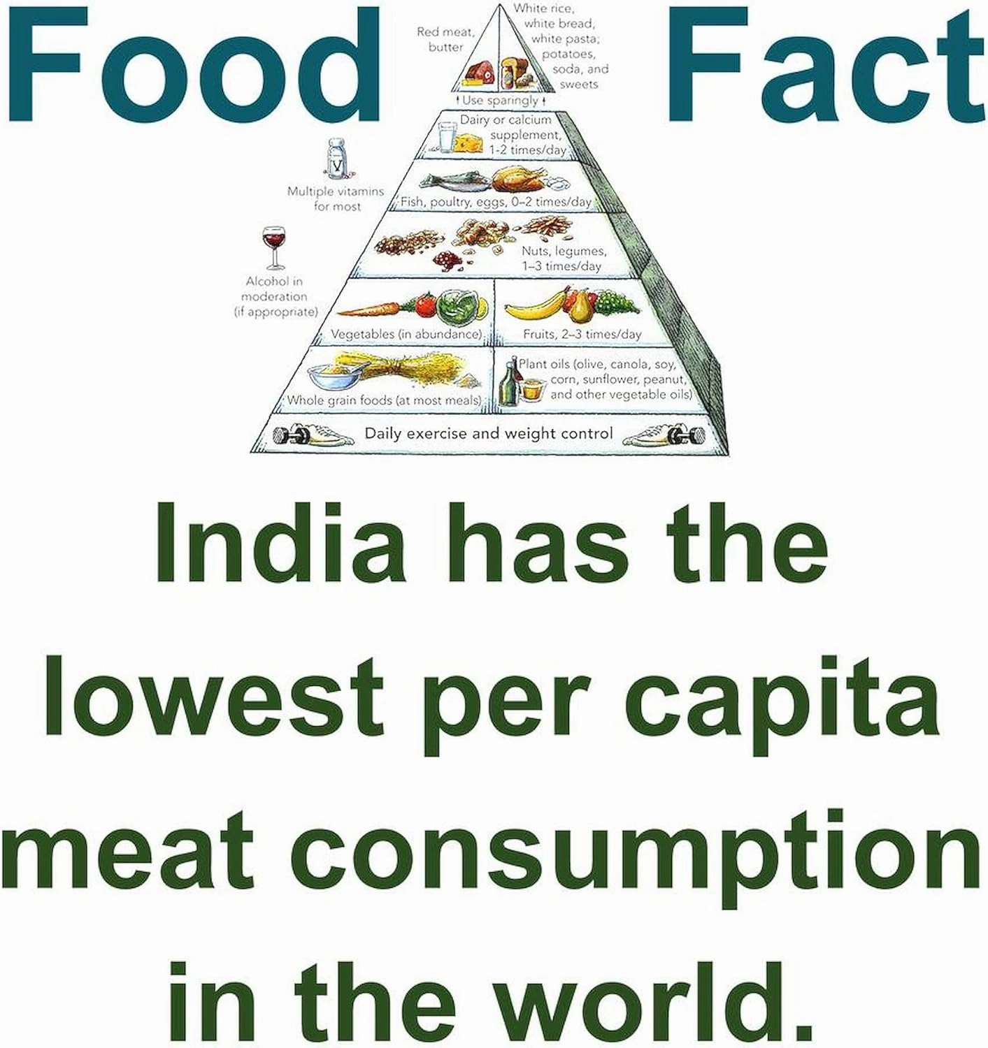 CafePress India Has The Lowest Per Capita Food Fact Mugs 11 oz (325 ml) Ceramic Coffee Mug