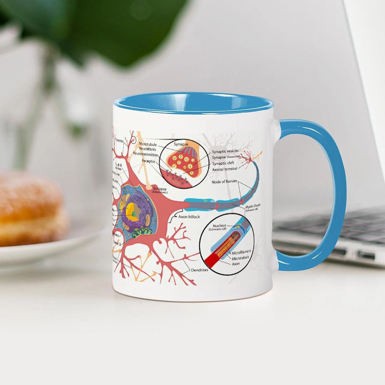 CafePress Neuron Cell Diagram Mugs 11 oz (325 ml) Ceramic Coffee Mug
