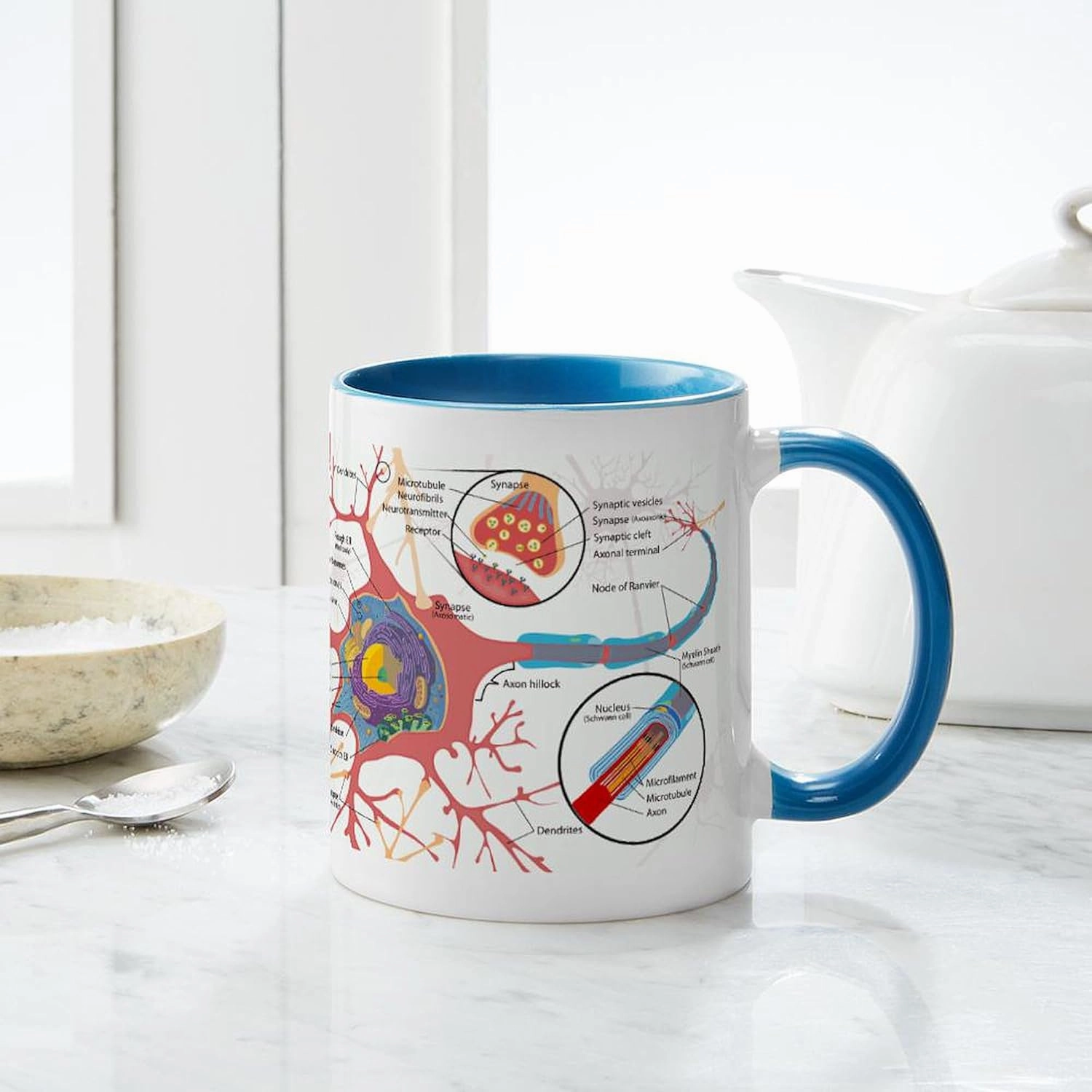 CafePress Neuron Cell Diagram Mugs 11 oz (325 ml) Ceramic Coffee Mug
