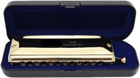 Chromatic harmonica 12 hole harmonica adult professional performance(Gold)