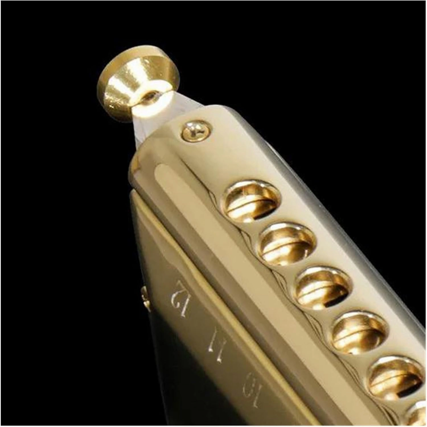 Chromatic harmonica 12 hole harmonica adult professional performance(Gold)