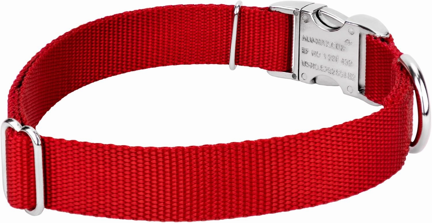 Country Brook Petz Premium Nylon Dog Collar and Leash Set for Small Medium Large Dogs - Vibrant 30  Color Selection (Medium, 3/4 Inch, Red)