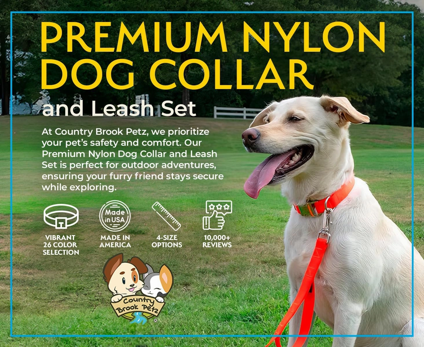 Country Brook Petz Premium Nylon Dog Collar and Leash Set for Small Medium Large Dogs - Vibrant 30  Color Selection (Medium, 3/4 Inch, Red)