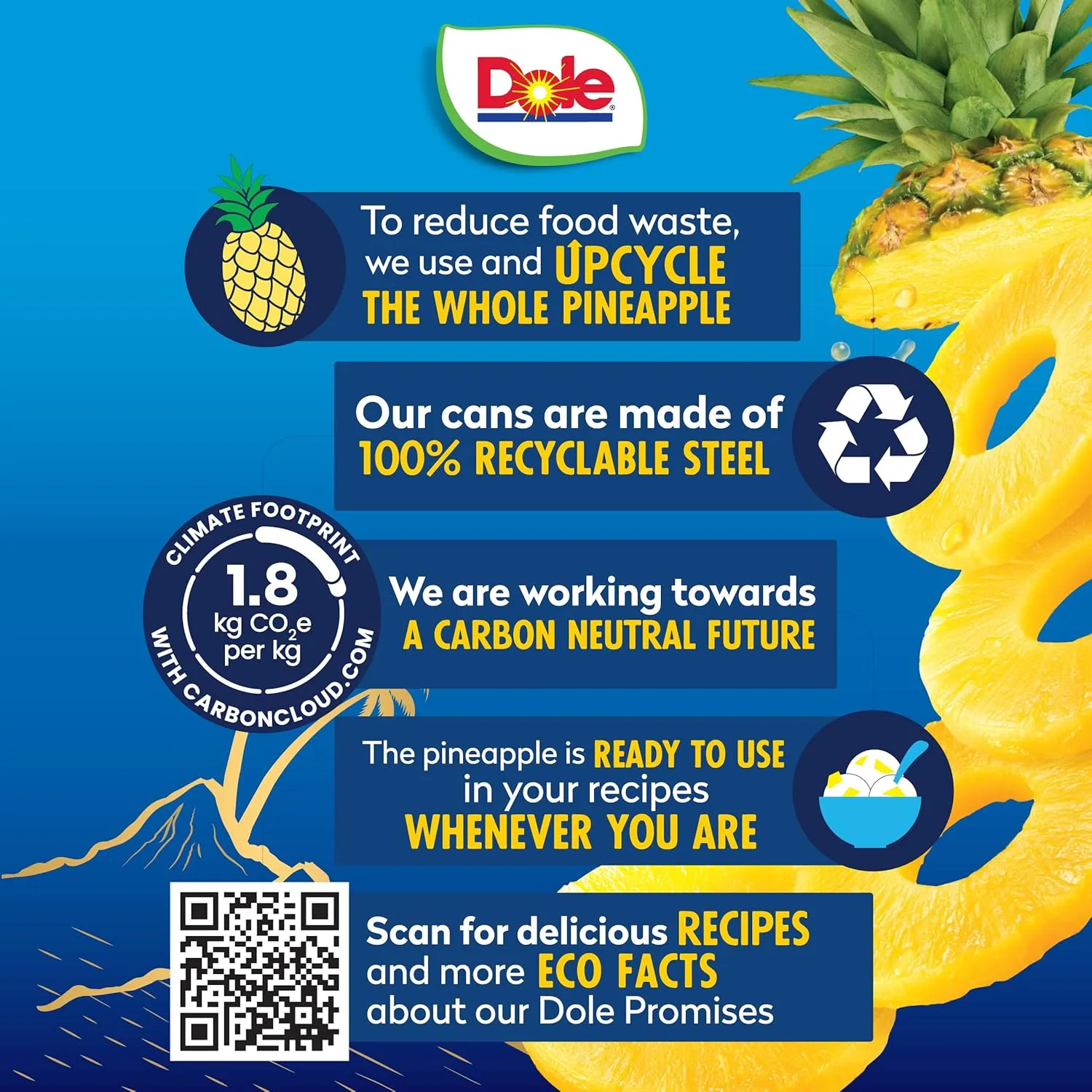 Dole Canned Fruit, Tropical Gold Pineapple Slices in 100% Pineapple Juice, Gluten Free, Pantry Staples, No Sugar Added, 15.25 Oz, 12 Count