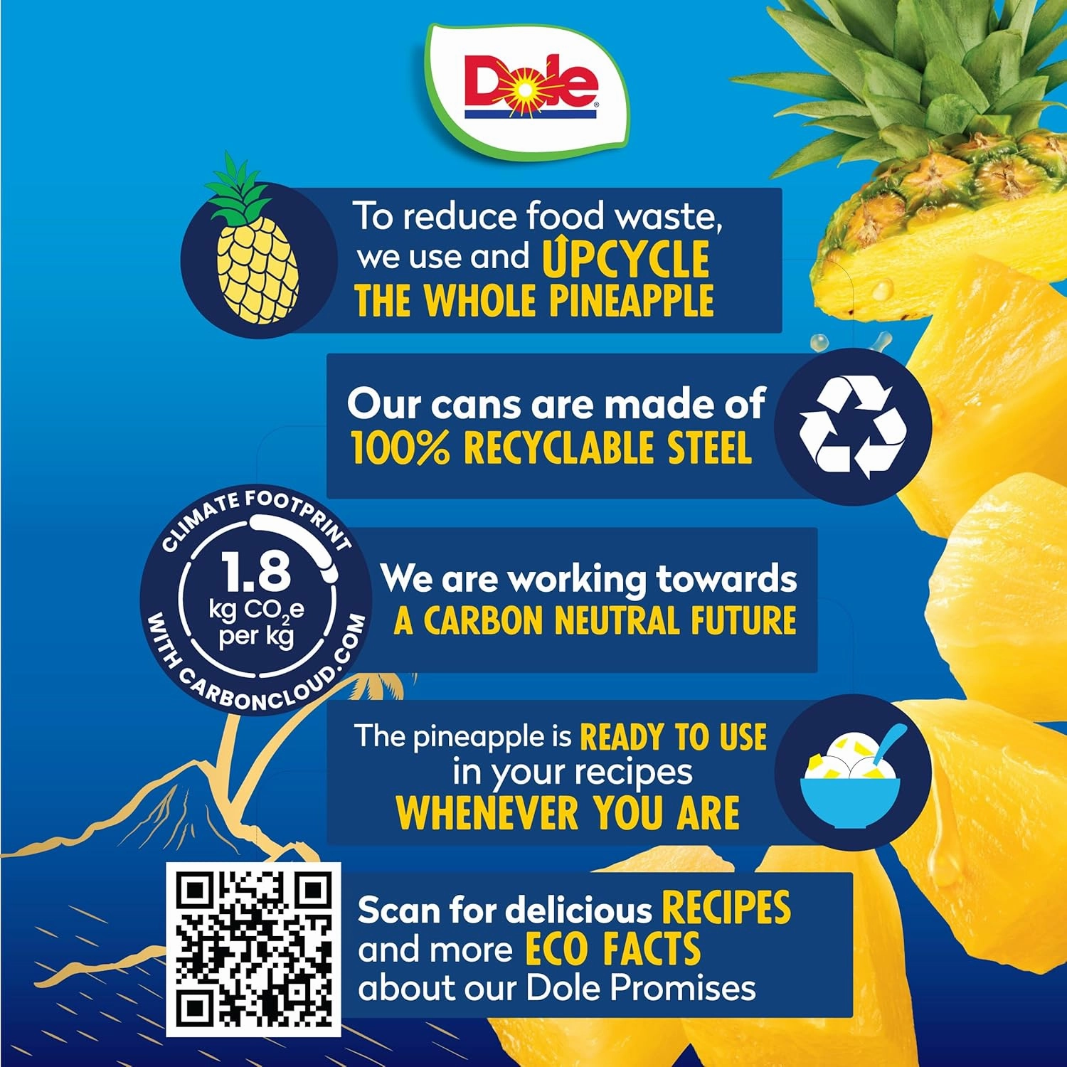 Dole Canned Fruit, Tropical Gold Pineapple Chunks in 100% Pineapple Juice, Gluten Free, Pantry Staples, No Sugar Added, 15.25 Oz, 12 Count