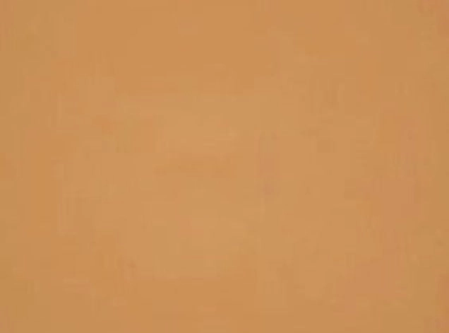 Dual Dark Beige Powder Foundation: Morvant