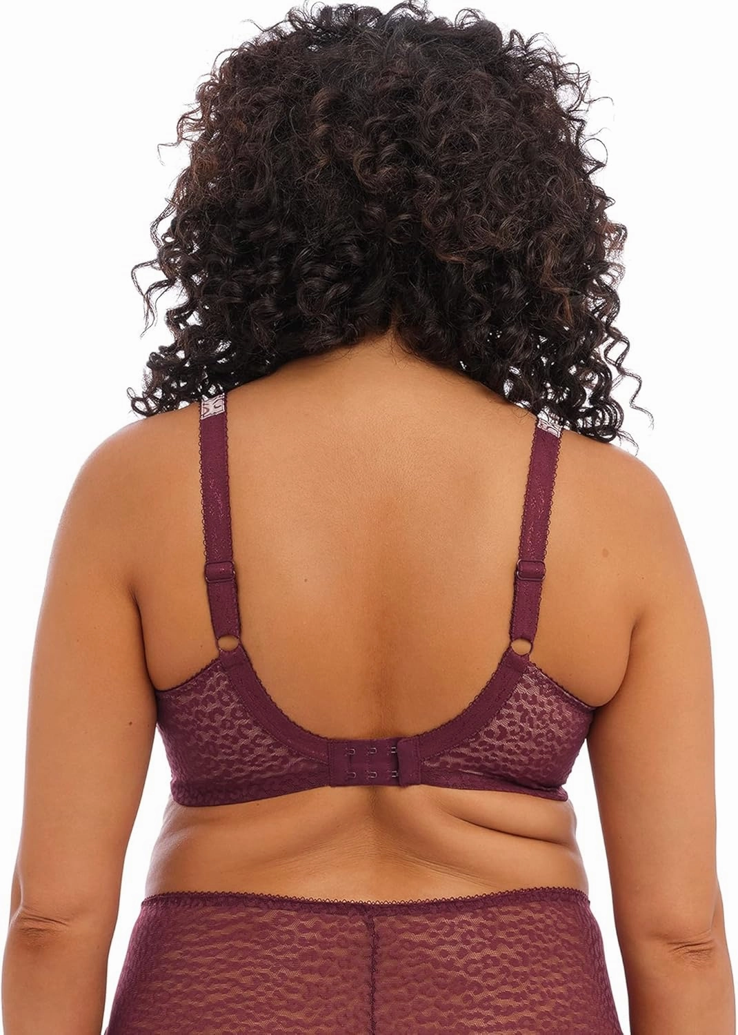 Elomi Women's Plus Size Lucie Stretch Lace Underwire Plunge Bra